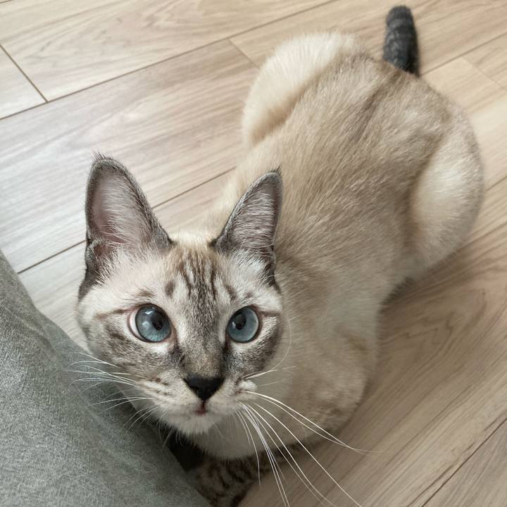 Ffb6ab69 8207 4286 9dba 570105d080c4 1601342166017