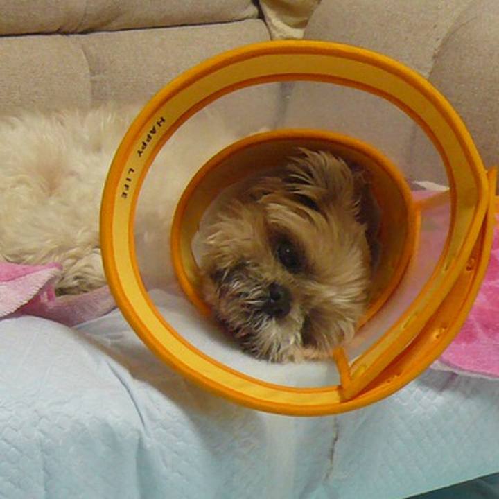 Ffb6eb5a 8575 426f a8b6 acc3a7f3dd7f 1558403186889