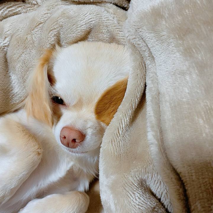 Ffb6ec70 c96f 414c a881 e1c3401a2ac0 1612431650105