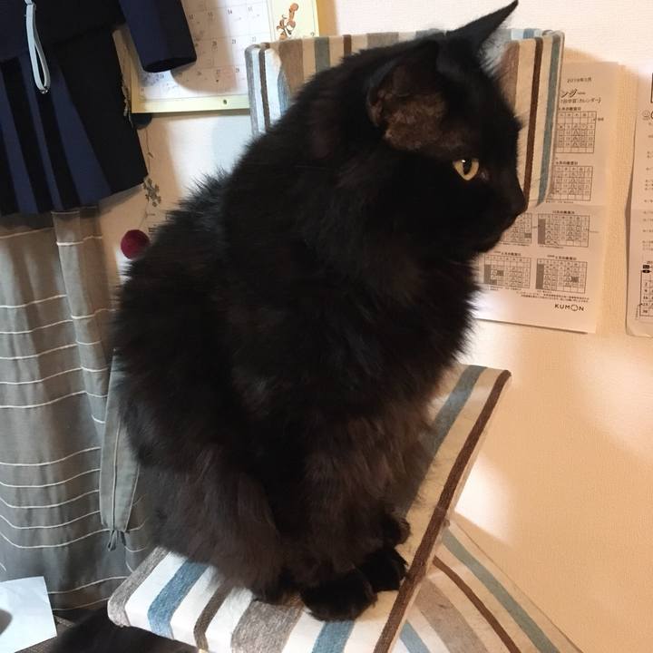 Ffb6fc20 b8ef 46b6 8266 d76ae7dbc843 1560563613932