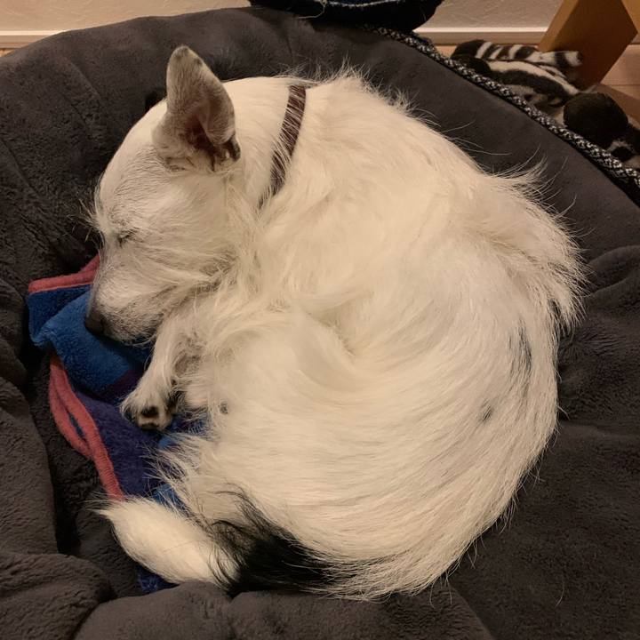 Ffb70963 8cb0 43f1 aebf 5e38db7f6e35 1670847228118