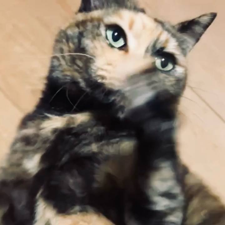 Ffb7287b 9d88 4b3c bcb9 f1032bad4852 1736587505808