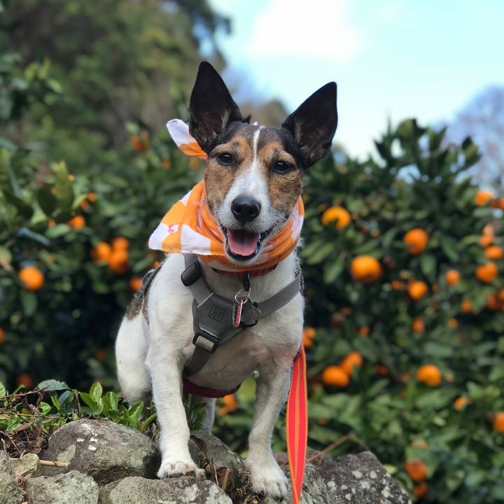 Ffb73ec9 1087 4bee af3d fec6740c8712 1761048661855