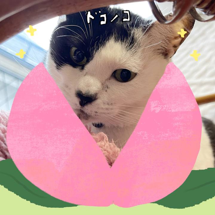 Ffb74238 59e8 477b 83a8 7a5d4cef30f8 1772059506927