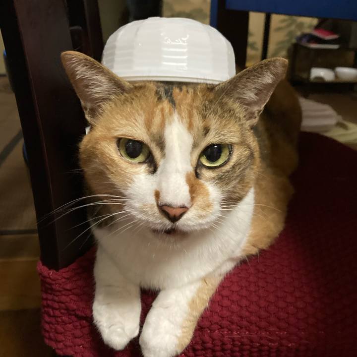 Ffb76057 6251 4abd 8e6e 35cf61f03bca 1628860650300