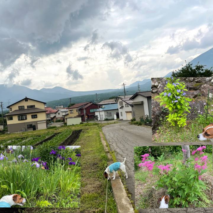 Ffb78655 9473 465c b159 43e9d4b623bf 1624601629748