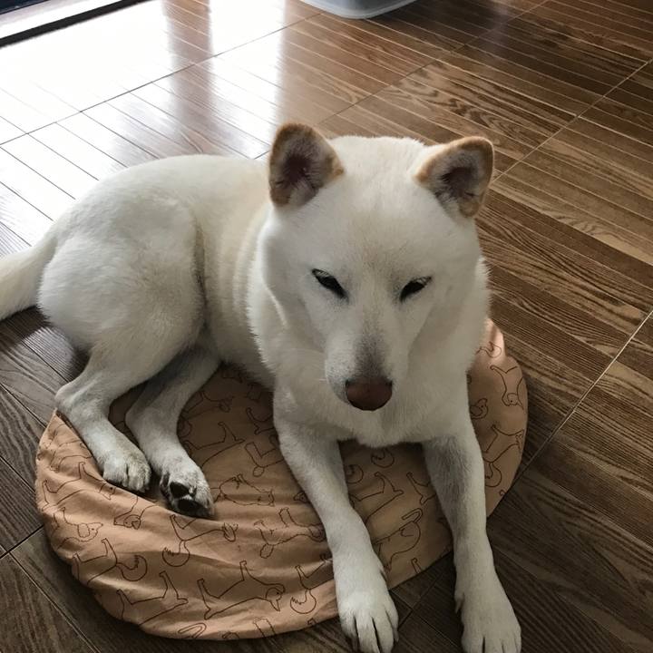 Ffb787dd adc7 4445 893f c5a5e631b9b7 1510620647509