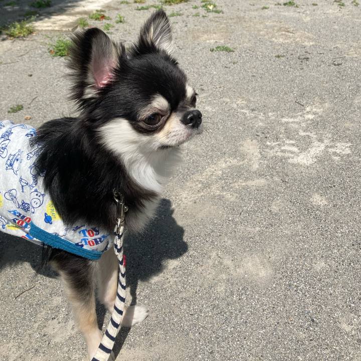 Ffb7a0b1 0c58 41e2 84f4 cd68794cdbba 1619323852841