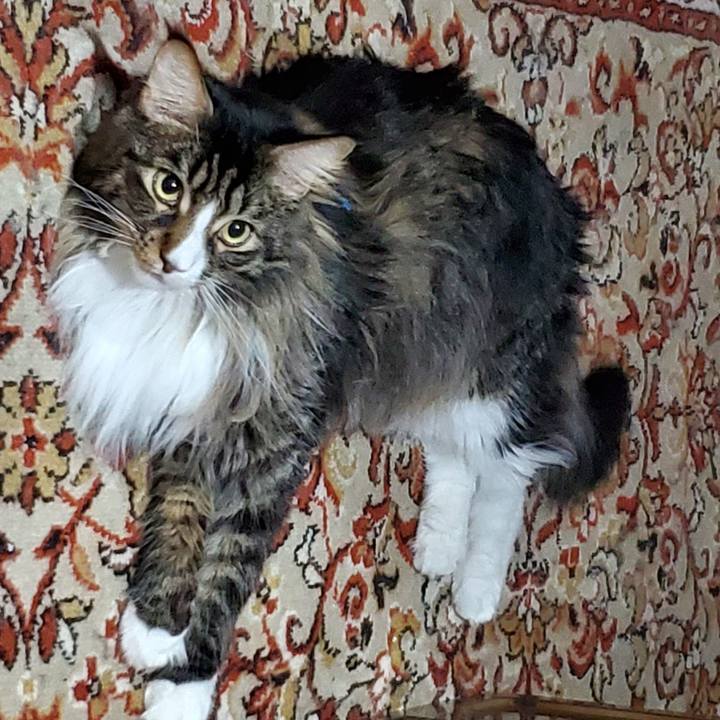 Ffb7aa3e fc9c 40e0 9251 8de8a4a2fddd 1725521965365