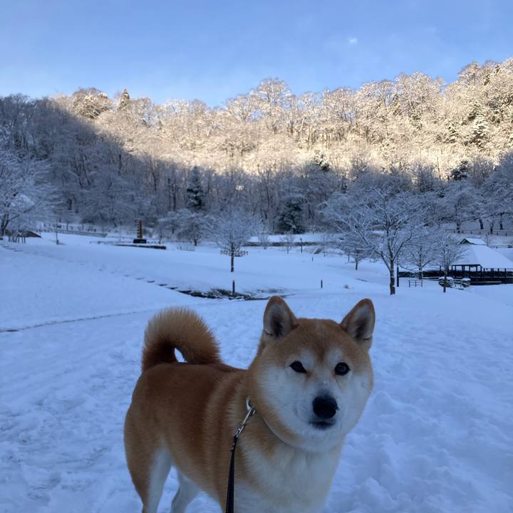 Ffb823bc 9333 4ae8 bde4 5e4aaec3f958 1767310195790