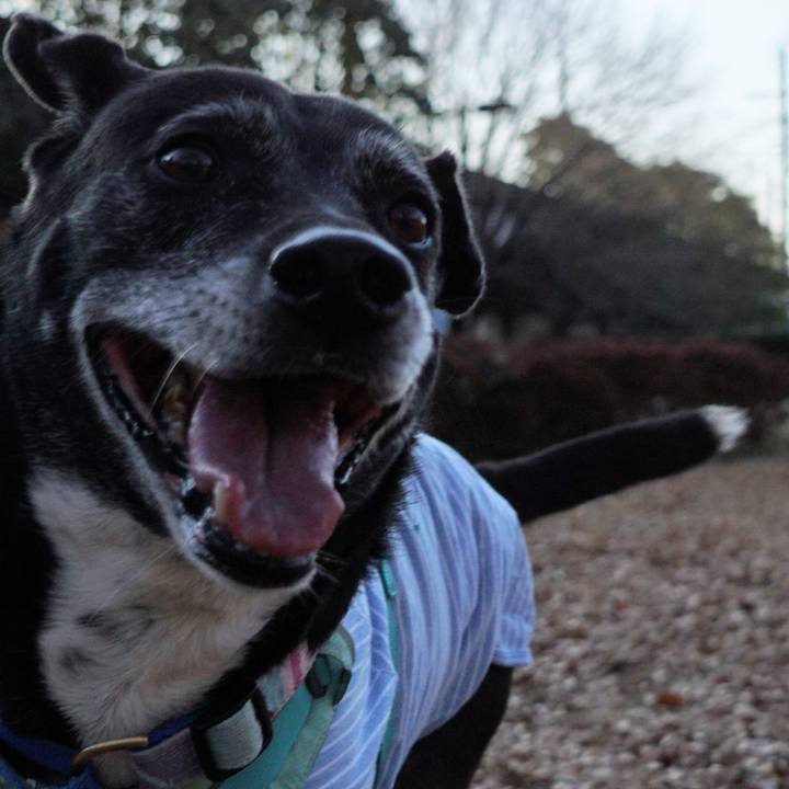 Ffb8332f 9490 4aec a84c 2a4183fe0739 1771201128088