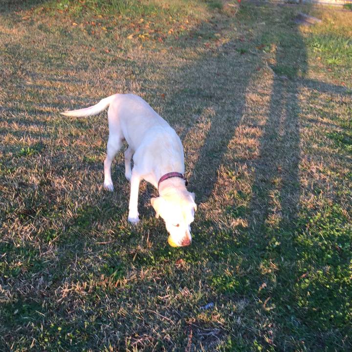 Ffb89993 5eb5 4cfb a79b 9f490cac0fc3 1509923611059