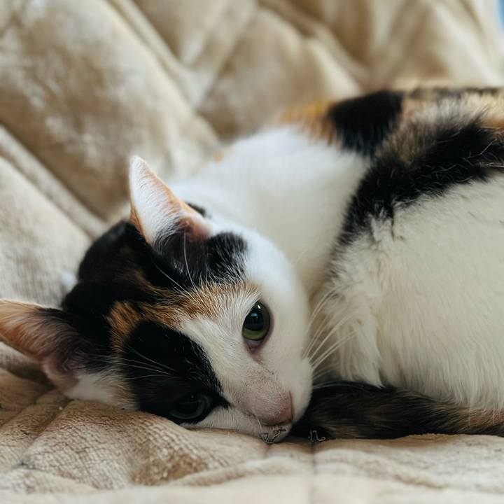 Ffb9066c e856 4167 a58c 42d32a423178 1677632960454