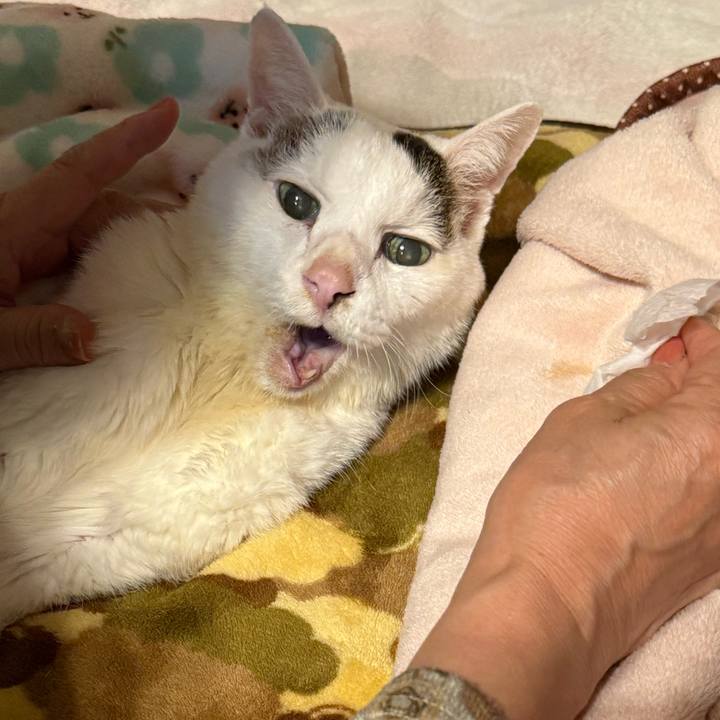 Ffb90b77 b324 4b30 a180 da3c7cff4bb5 1768395055929