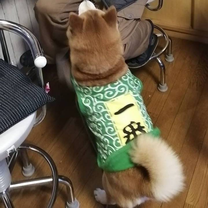 Ffb90c05 e086 4ab9 b1ea c10021a856fc 1586855659674