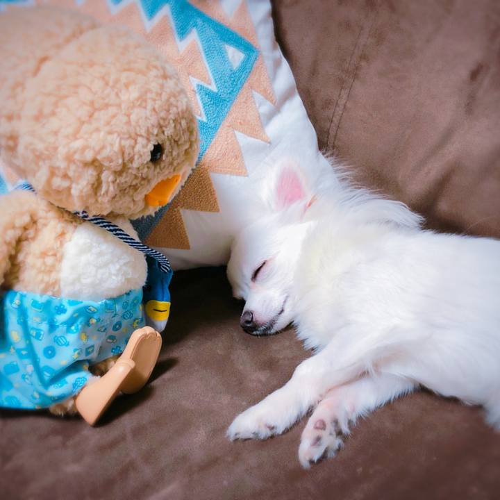 Ffb94a57 a58e 4ed2 b8e9 9a260861e1c5 1527513188723