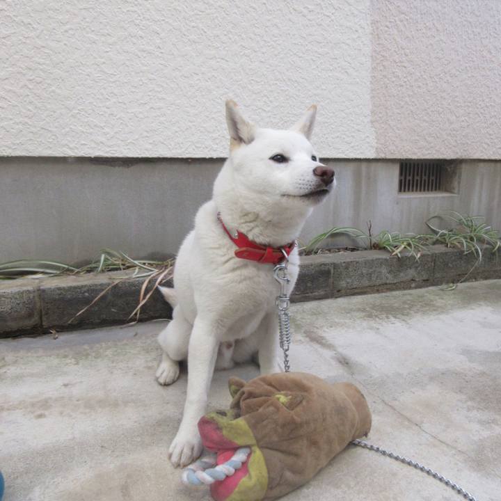 Ffb94c13 a0d2 4a74 b91e f258fba572fc 1514595141288