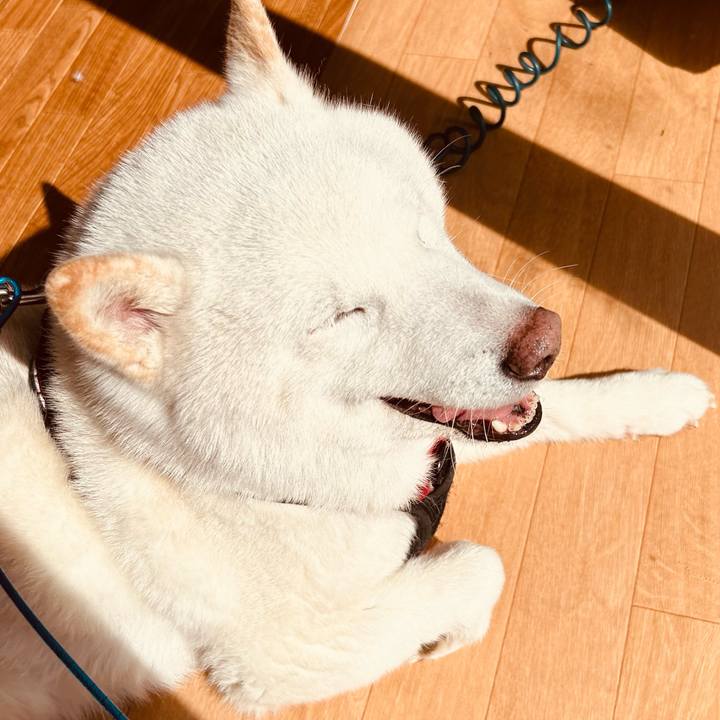 Ffb99813 21a8 4a85 9d3c 98a65edcd0f1 1711082373391