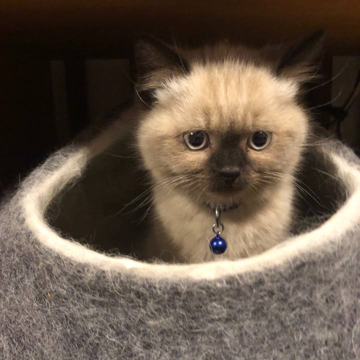 Ffb99d14 c153 4bd4 b60f 29d2ee63b9e2 1585648976115