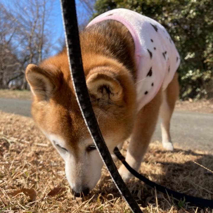 Ffb9aaf8 dfae 4197 addd a338617a2322 1770011343819