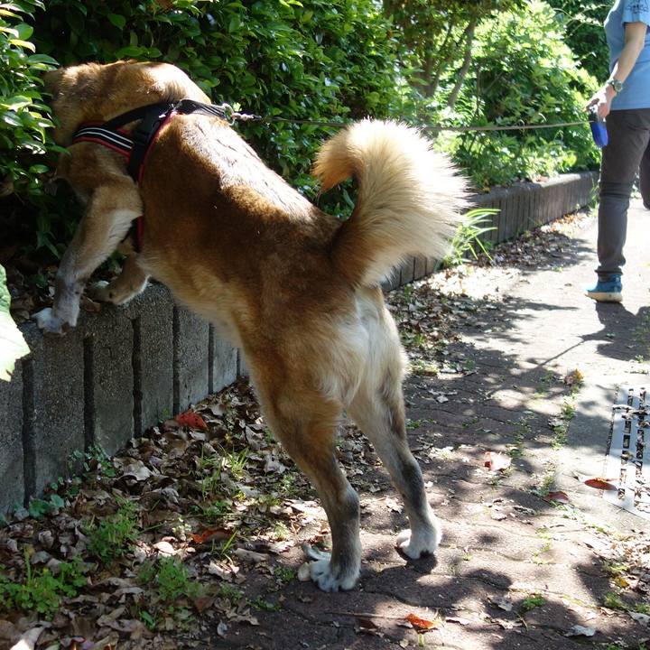 Ffb9b179 b1ee 453e a8df 423681605fa0 1669683630311