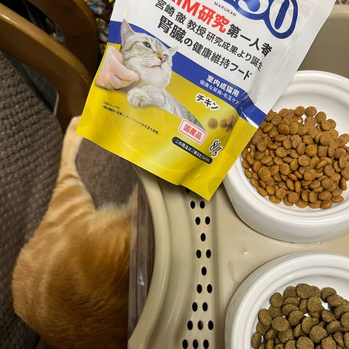 Ffba10c5 a79e 41ef b129 6a250cd55ea6 1648852033094