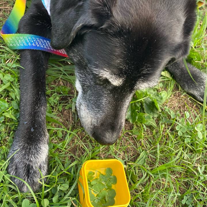 Ffba4946 6f9f 4255 8402 275a02ca063b 1692605821611