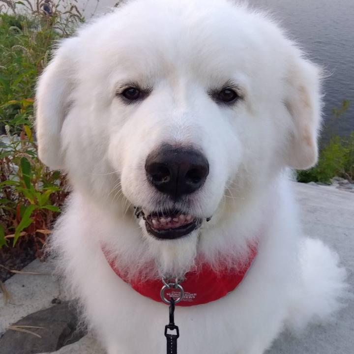 Ffba60c2 2f5b 438d 90d2 0092a90c27d5 1694911040726