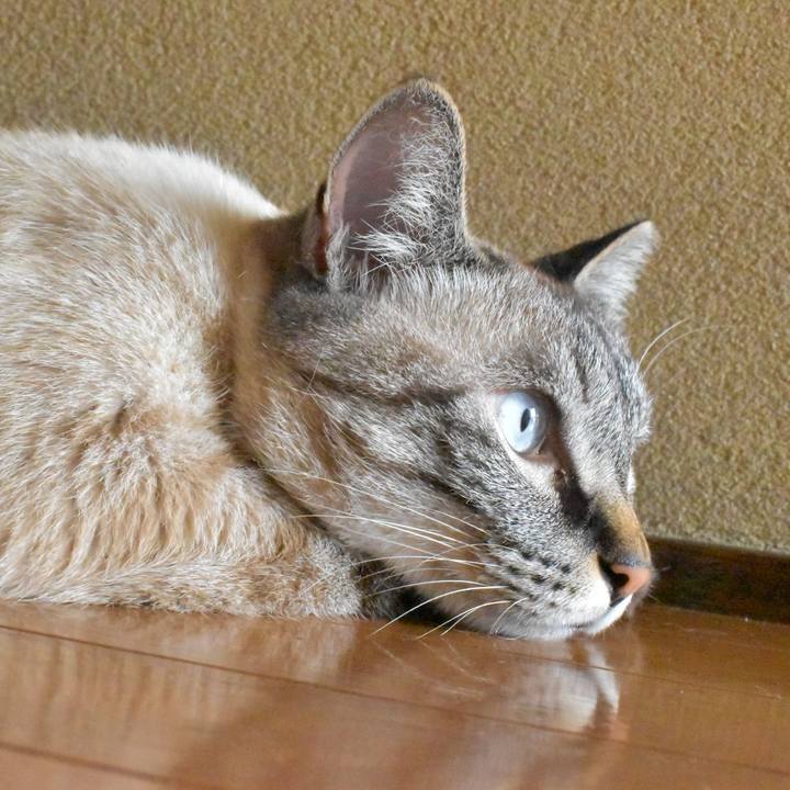 Ffba89ee 1d69 4a84 97af ae2d6f0c78d4 1564549176438