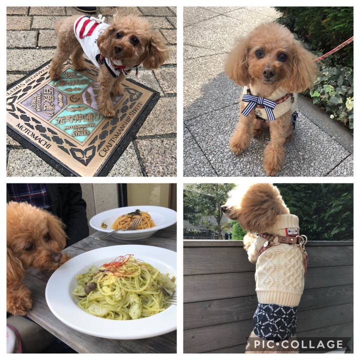 Ffbafd86 a865 48d9 9f8a cc00f2821e41 1542001745190