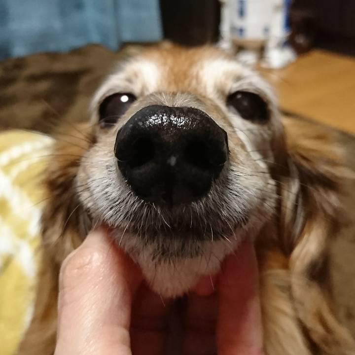 Ffbafe3d a764 41c2 a134 49c510bf03eb 1514369699972