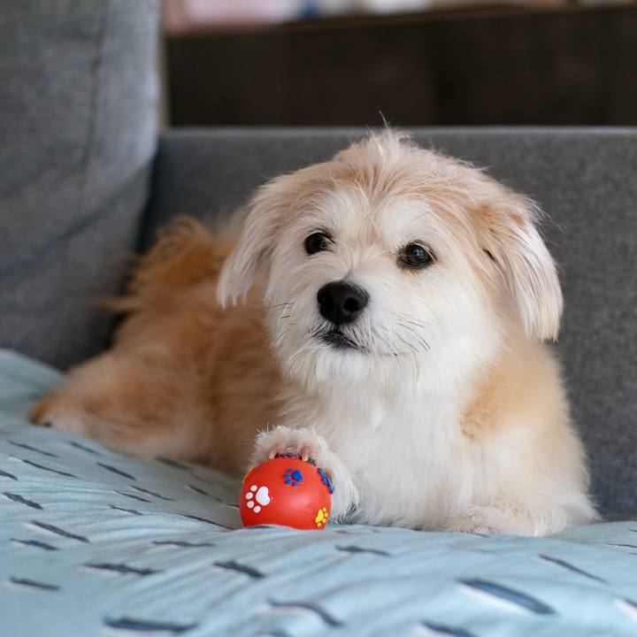 Ffbb2948 9e58 4edf 8781 e7d3bf868a62 1757369445096