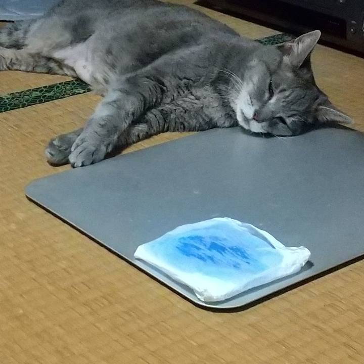 Ffbb5fc5 7ca2 4094 922f 3e5892046a1b 1663065290468