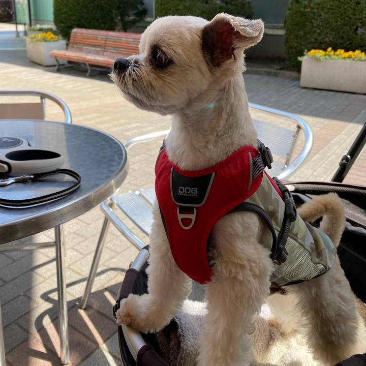 Ffbb8f2d 1b34 4b21 b763 1e4d61a6cdda 1649684786189