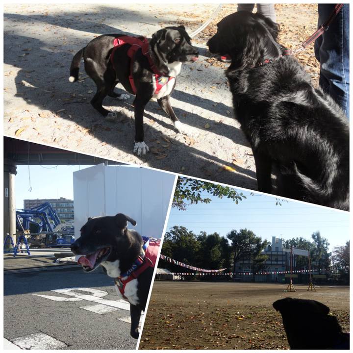 Ffbbbfb8 163b 4501 8d43 a19aca04e3ff 1667003827321