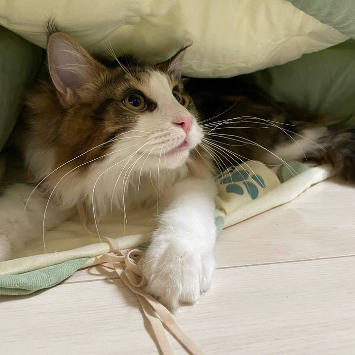 Ffbbc228 0d48 43ba 8a83 9c0e0df82976 1641501698060