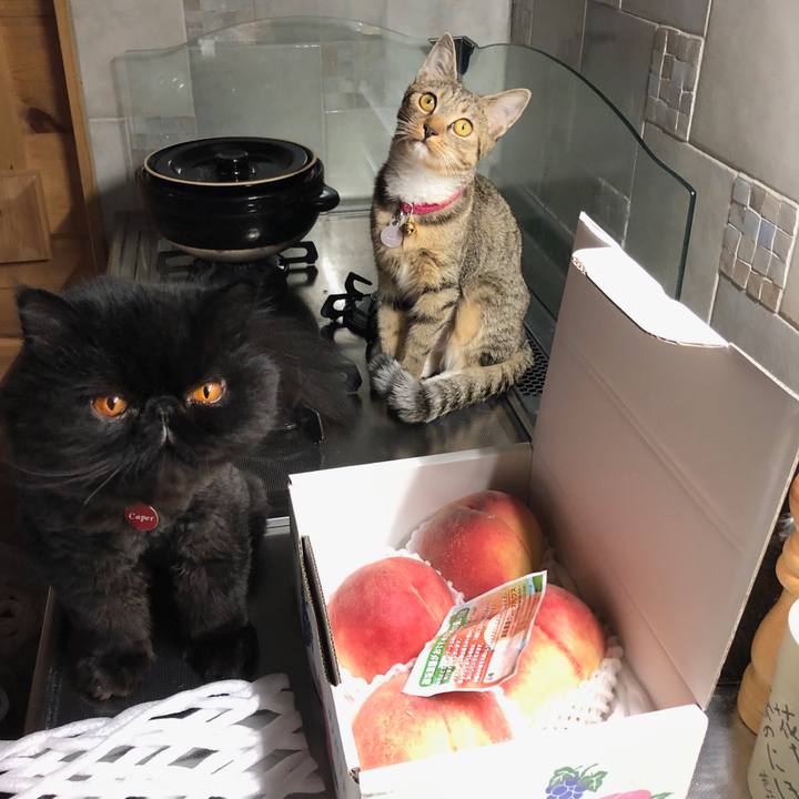 Ffbbd1df 0ffc 4ded b3e1 f357b5d2bfe6 1564222236680