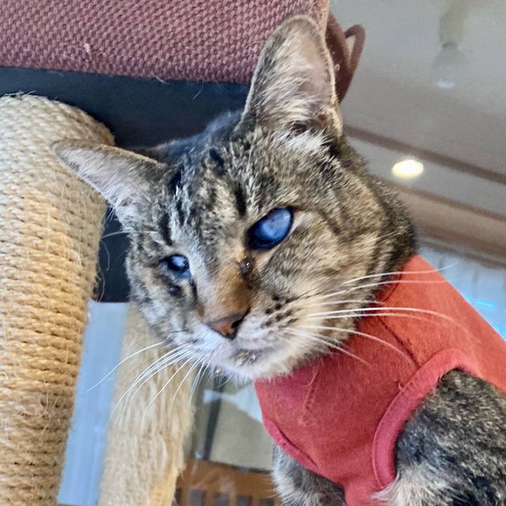 Ffbbd22a e8e0 4967 9fcf 3ba38d379f4b 1681507994624