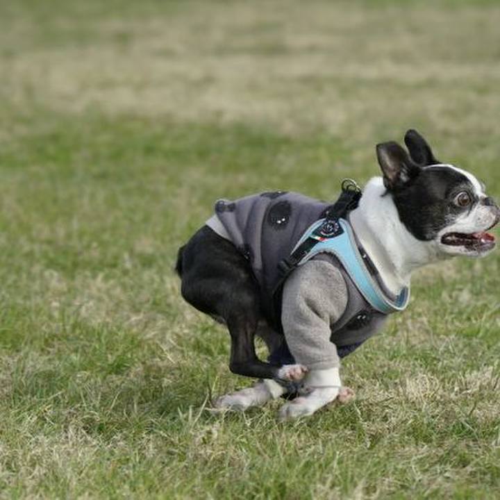 Ffbbe60b 20c3 4f49 914d 9a40ef052168 1546154543502