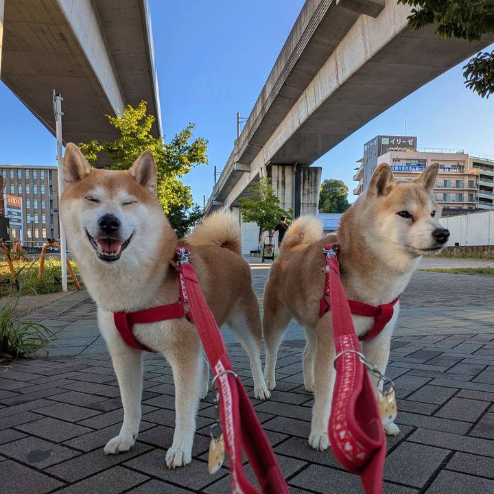 Ffbbfb77 8159 4fc7 ae0c 41452c6ba9c1 1757120141711