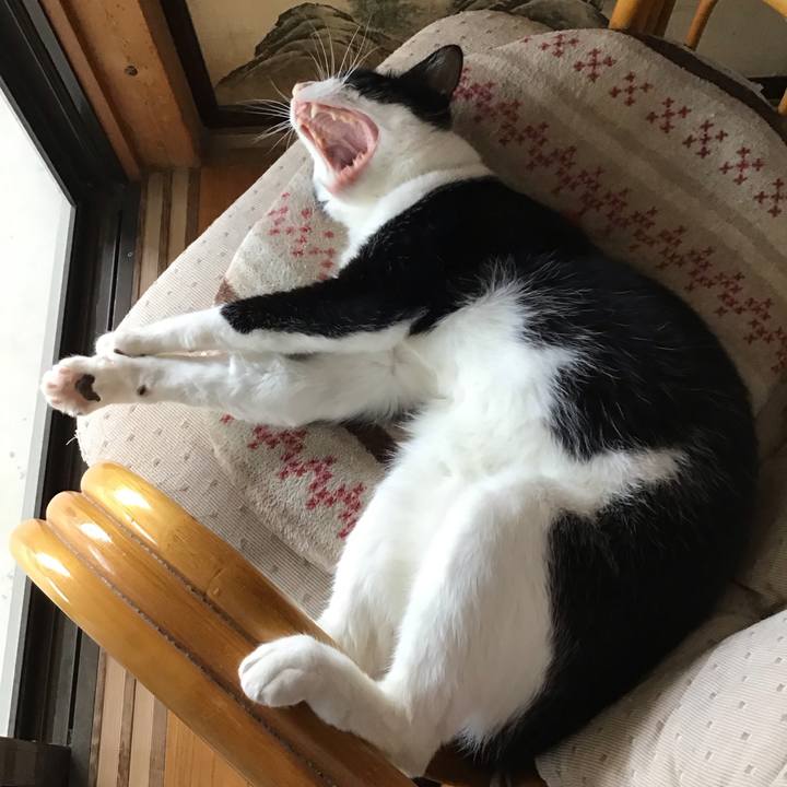 Ffbc2325 4dc7 4b51 800e f3861d34f908 1718180960911