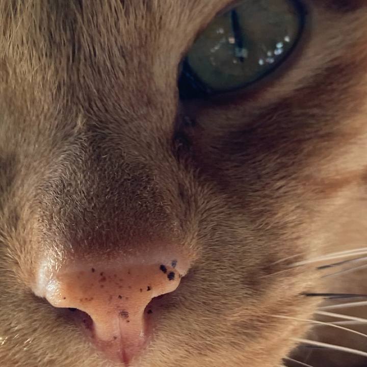 Ffbc28e8 4e39 4b74 8385 5a9ddcb00741 1612051932652