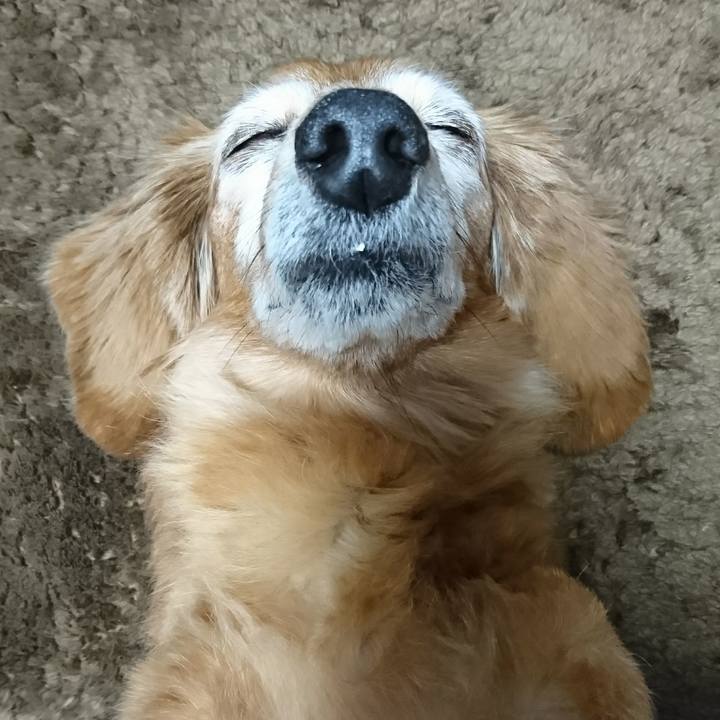 Ffbc4521 7087 4c6f a6cd f518f8e78cd5 1510854386760