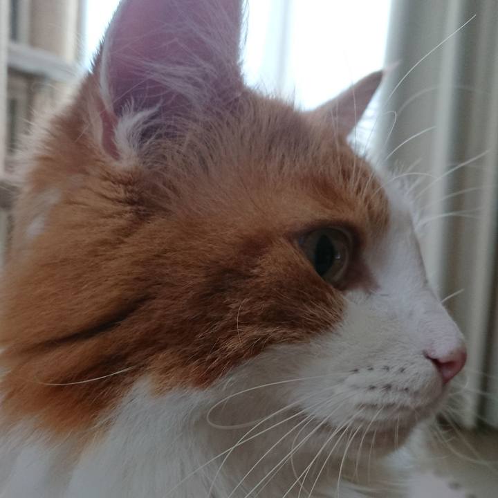 Ffbcb026 28ac 4df9 af3a fd617f744654 1537323097841