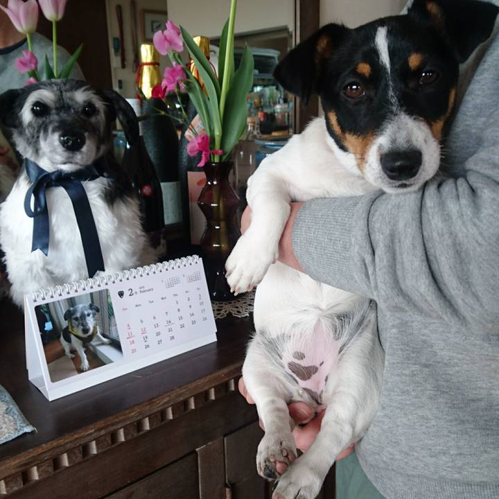 Ffbce8a7 7f81 4b98 8fb9 c766dc9b1501 1517445266712