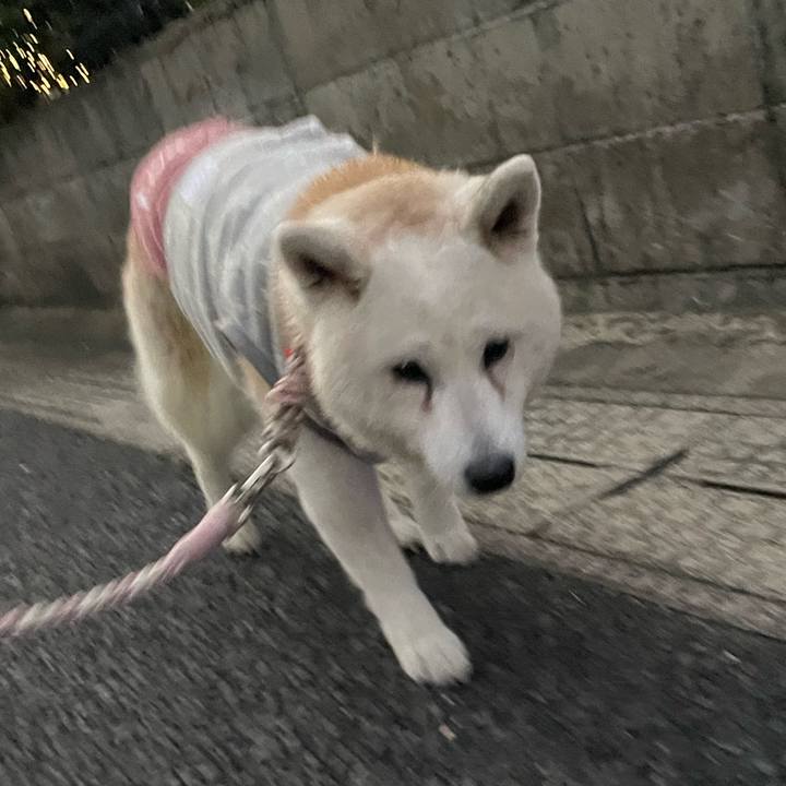 Ffbcf7b0 1034 43de 8a53 bc1322856dfd 1733351639139