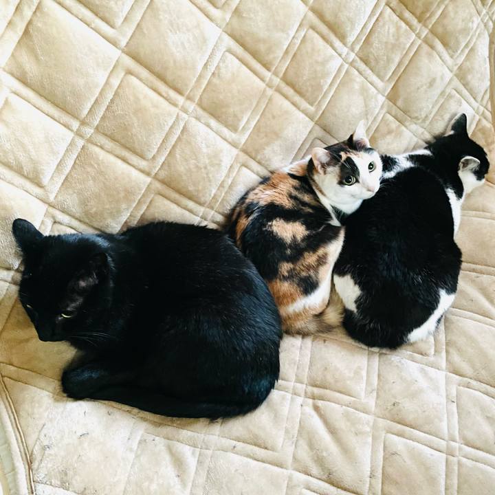 Ffbd0ad6 2d47 4bd3 bdf7 f8165c1a8681 1648089794950