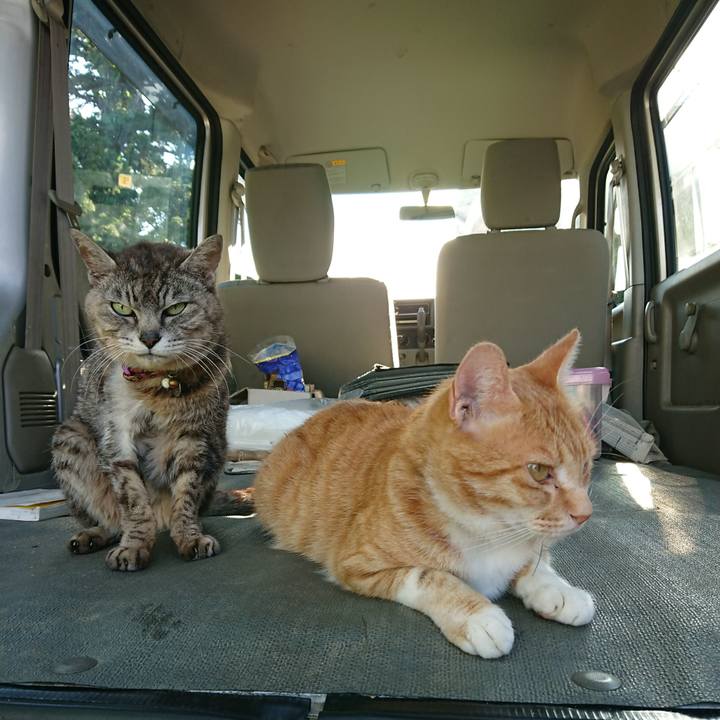 Ffbd2c26 4397 4e3b bf9e c9801b5eda44 1594887784572