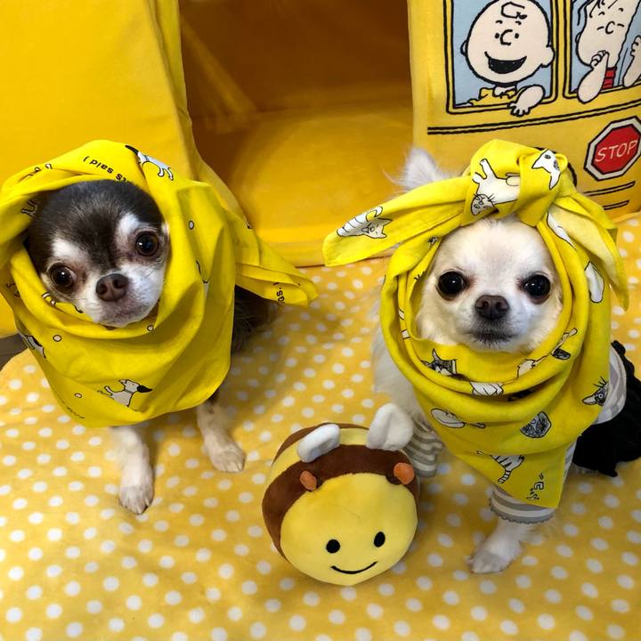 Ffbd5843 0031 4739 8c9f 40f5921bb3ad 1615260014561