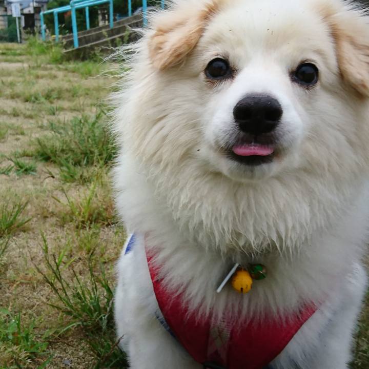 Ffbd7060 7122 4649 9a51 9c8ddca51950 1535836504979